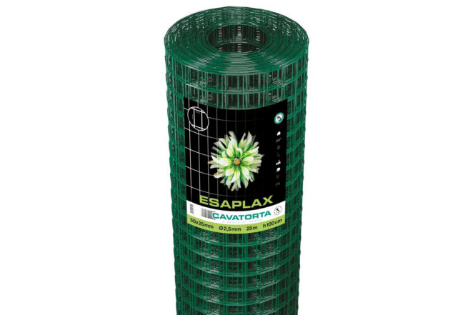 Esaplax - immagine 3