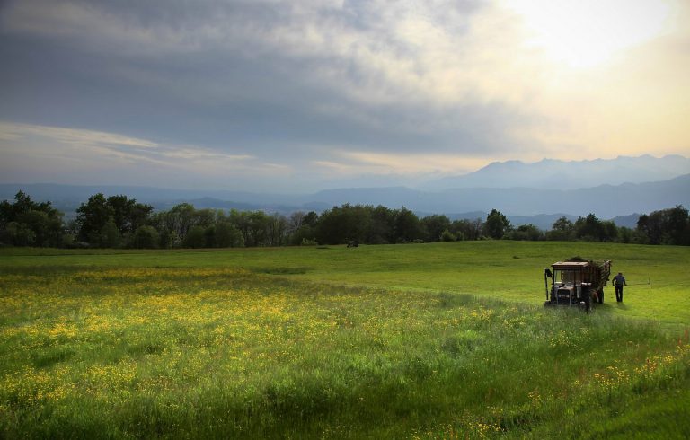 Agricoltura in Italia