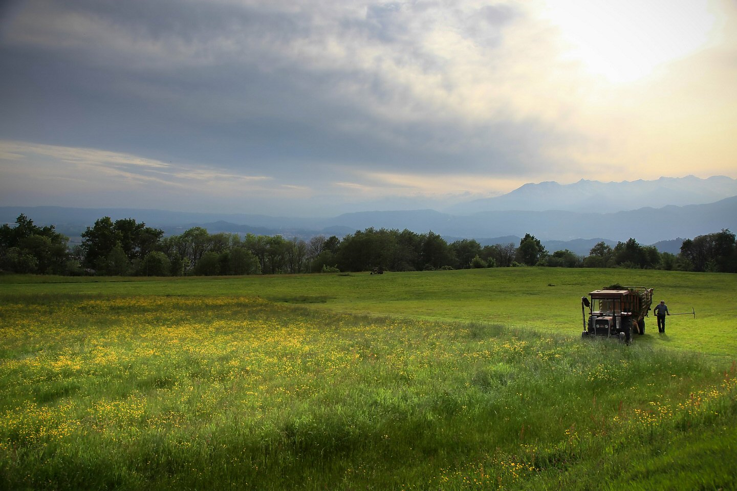 Agricoltura in Italia