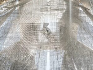 Agnus Dei Edoardo Tresoldi